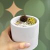 Lavender Haze Scented Candle - Image 3